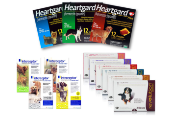 Heartworm meds sales