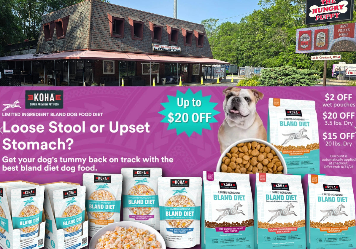 Bland Diet for Dogs With Vomiting: A Soothing Solution