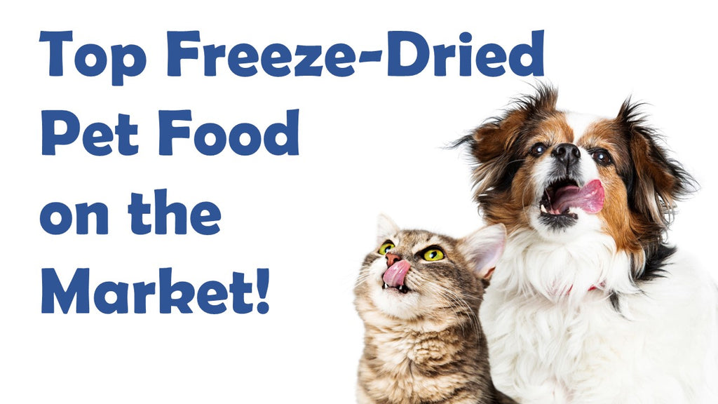 The Top Freeze-Dried Pet Food Brands on the Market