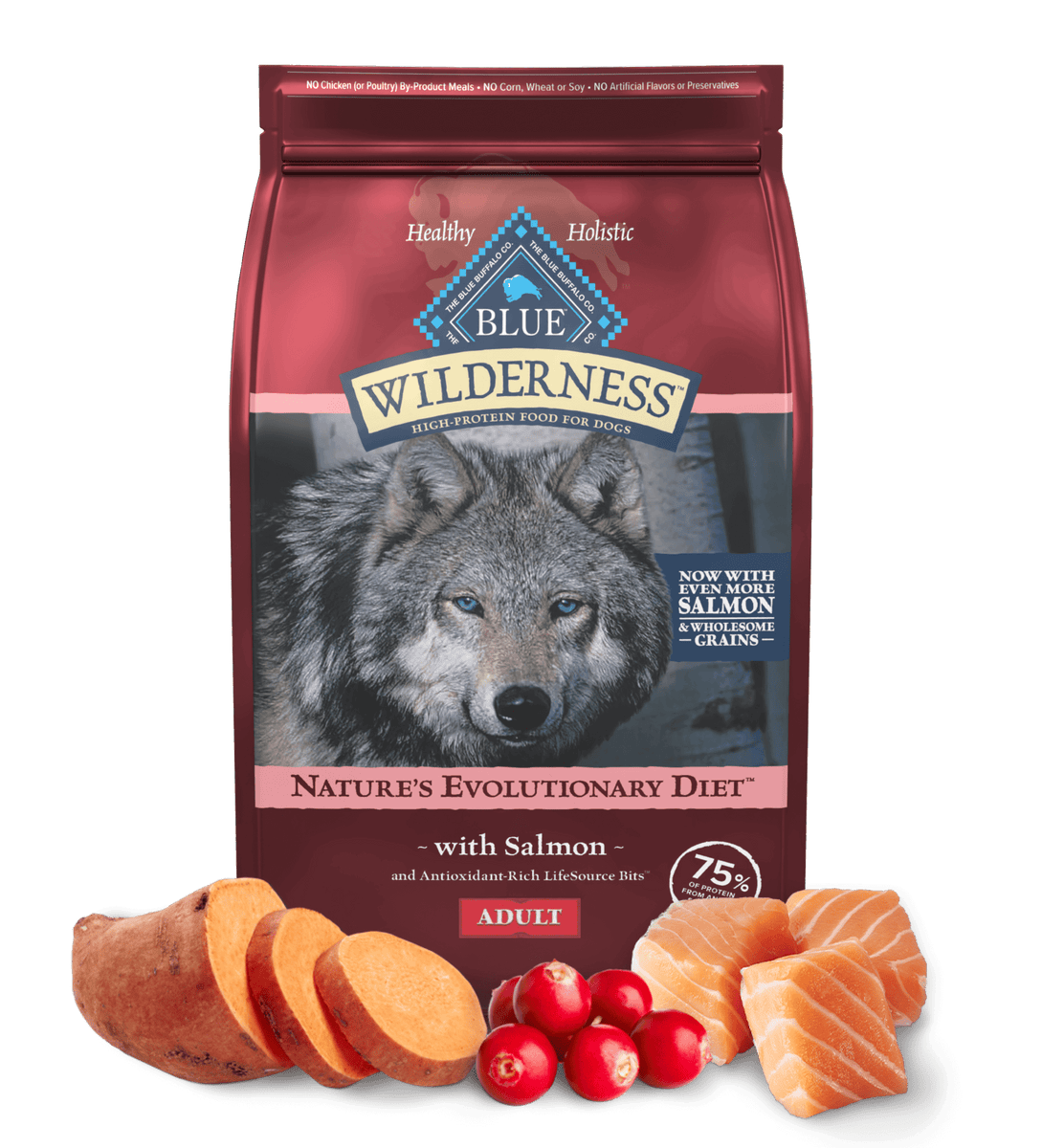 Blue Buffalo Wilderness Salmon | Free* NJ Local Delivery