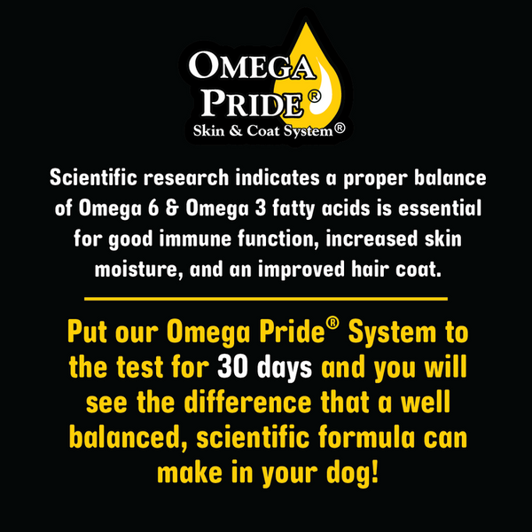 Field Master Field Master 30/20 Hi-Protein Chicken & Barley Recipe Dry Dog Food