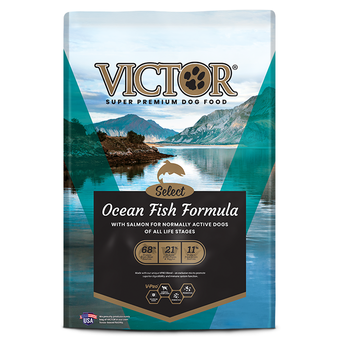 Victor dog food in sales stores