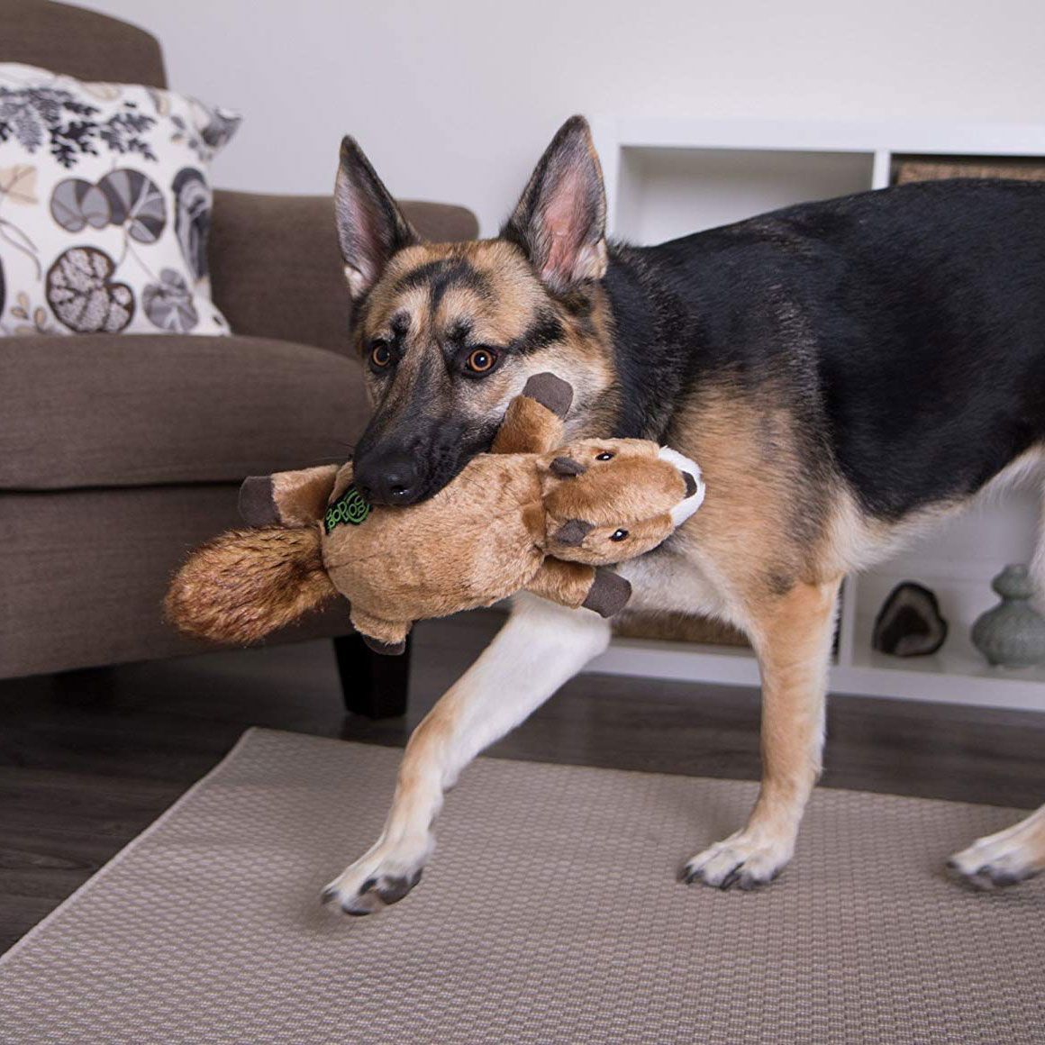 Akc deals dog toys