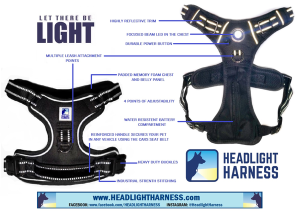 Headlight Harness
