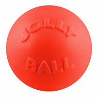 Jolly Pets Bounce-N-Play Ball Dog Toy