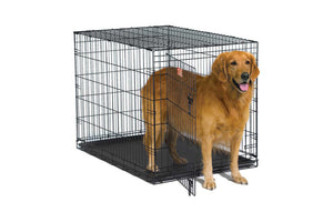 Crate Training 101