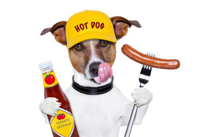 BBQ Dangers for Dogs