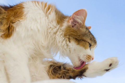 Handling a Hairy Situation