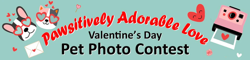 The Hungry Puppy Announces Pawsitively Adorable  Valentine's Day Pet Photo Contest with a $100 Gift Card Prize