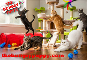 The Benefits of Regular Exercise for Indoor Cats