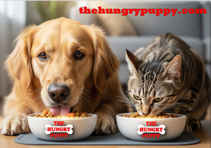 The Role of Nutrition in Your Pet's Behavior and Mood