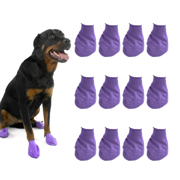 Protex Pawz Rubber Dog Boots Assorted Colors