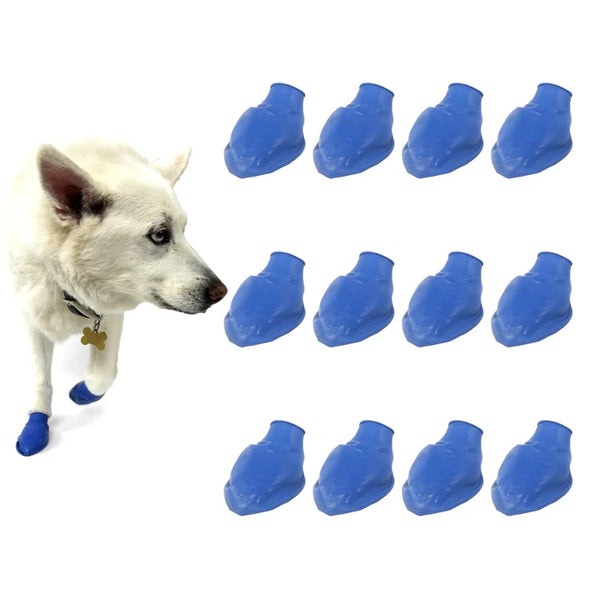 Protex Pawz Rubber Dog Boots Assorted Colors