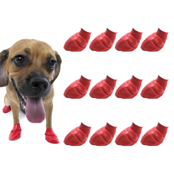 Protex Pawz Rubber Dog Boots Assorted Colors