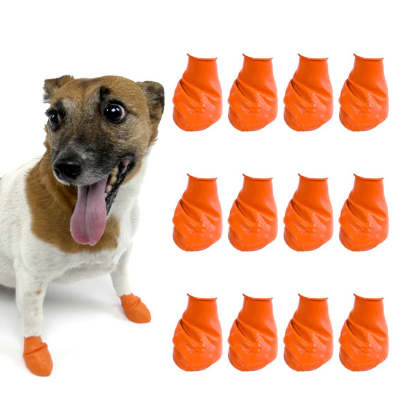 Protex Pawz Rubber Dog Boots Assorted Colors