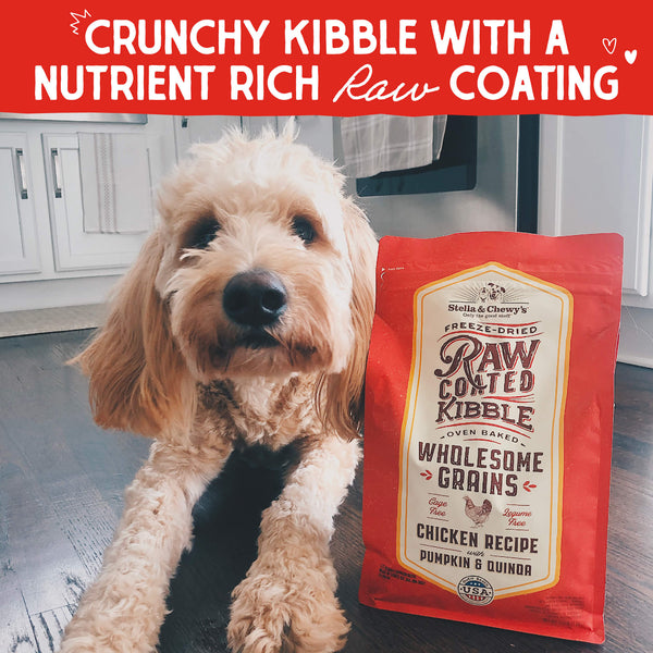 Stella & Chewy's Raw Coated Kibble Wholesome Grains Chicken Recipe Dry Dog Food, additional view 1