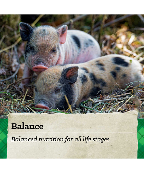 Nutrena Country Feeds Mini Pig Feed, additional view 3