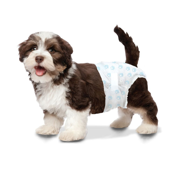 Four Paws Wee-Wee Disposable Dog Diapers, 12 Count, additional view 3