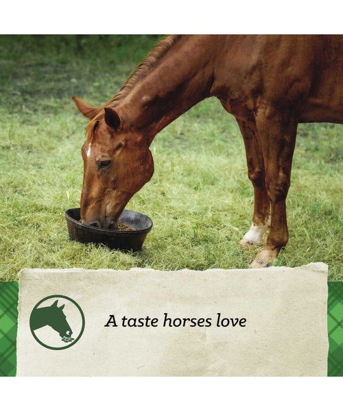 Nutrena SafeChoice Senior Horse Feed, additional view 3