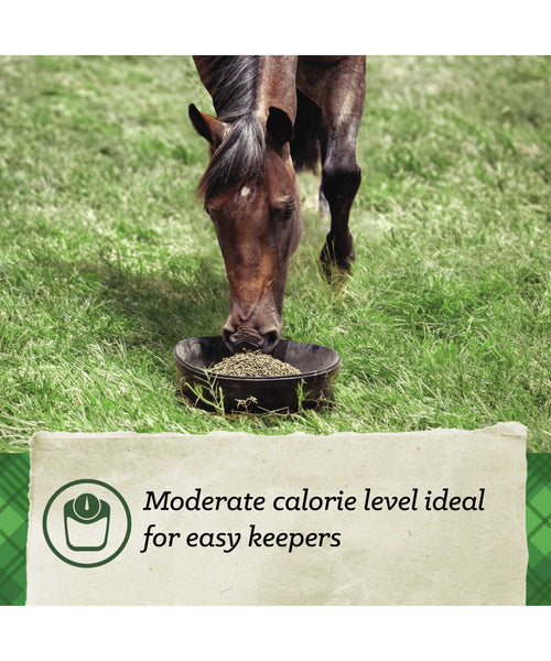 Nutrena SafeChoice Maintenance Horse Feed, additional view 2