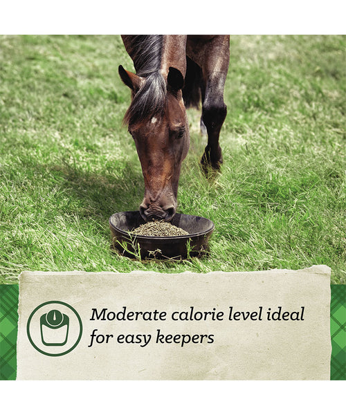 Nutrena SafeChoice Maintenance 12% Pelleted Horse Feed