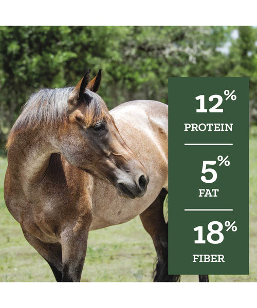 Nutrena SafeChoice Maintenance Horse Feed, additional view 3