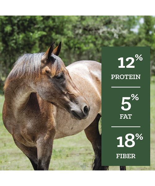 Nutrena SafeChoice Maintenance 12% Pelleted Horse Feed