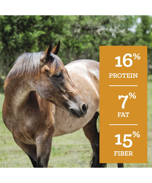 Nutrena SafeChoice Mare & Foal Horse Feed (Special Order), additional view 3