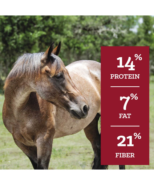 Nutrena SafeChoice Special Care Horse Feed, additional view 3