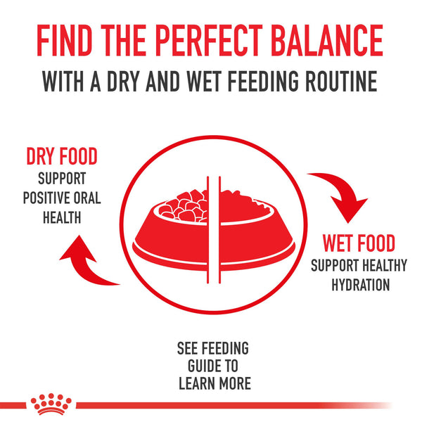 Royal Canin Aging 12+ Thin Slices in Gravy Wet Cat Food, additional view 3