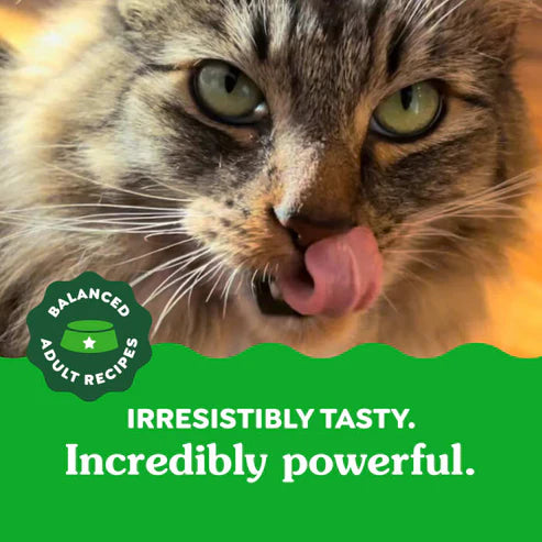 Feline Greenies Tempting Tuna Cat Treats