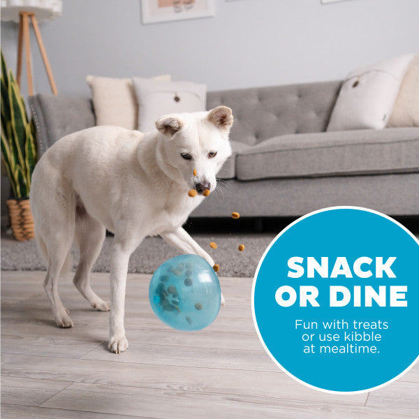 Outward Hound Orbee-Tuff Snoop Interactive Treat Dispensing Dog Toy