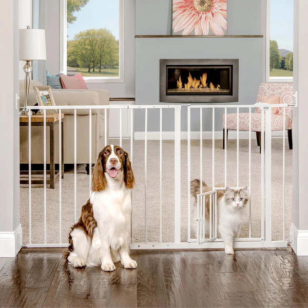 Carlson Maxi Walk-Thru Pet Gate with Small Pet Door
