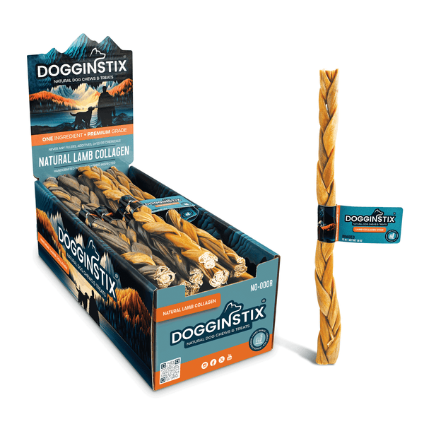 Dogginstix 12-inch braided lamb collagen stick from grass fed, free range lamb, rawhide free chew