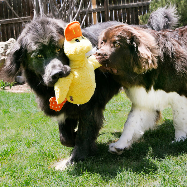 KONG Comfort Jumbo Duck Dog Toy, additional view 1