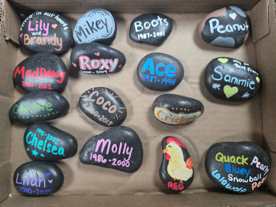 Pet Memorial Rock – Create or Customize Your Tribute