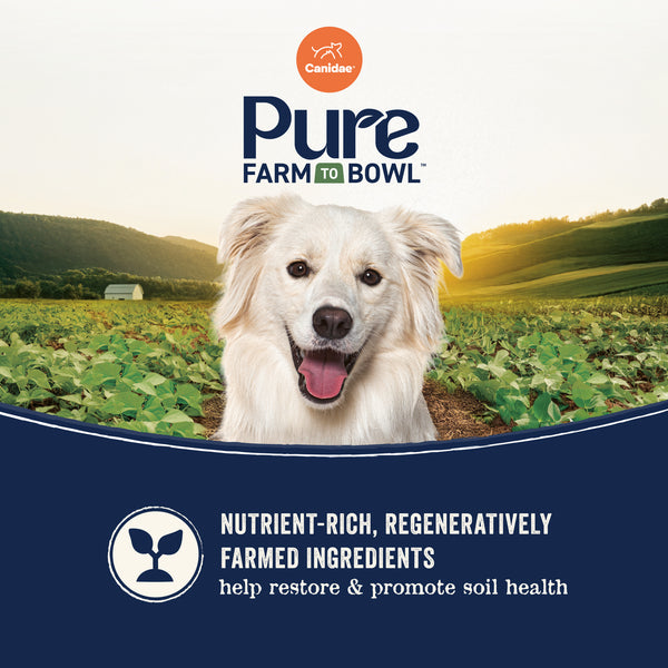 Canidae Pure Farm to Bowl Wild-Caught Salmon & Sweet Potato Grain Free Recipe Dry Dog Food