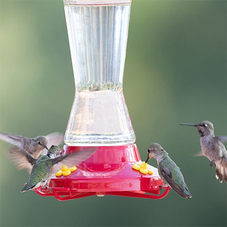 Perky-Pet Pinch Waist Glass Hummingbird Feeder, 16 oz, additional view 3