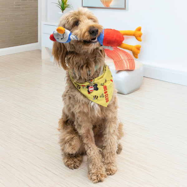 KONG Bendeez Bird Dog Toy, additional view 1
