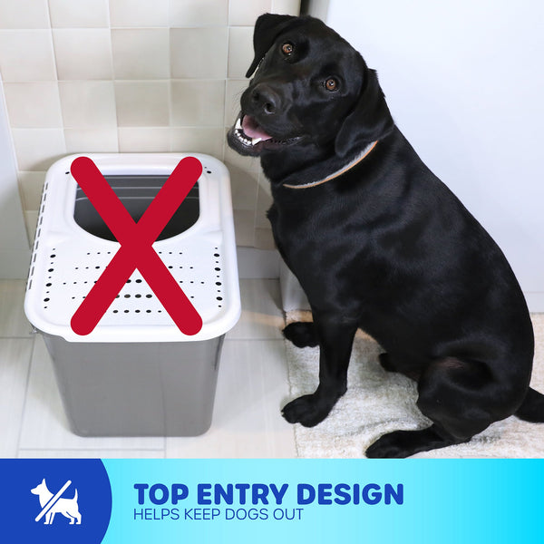 Petmate Top Entry Litter Box, additional view 3