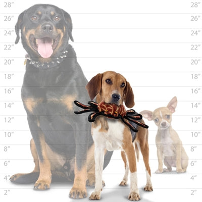 VIP Tuffy® Desert Spider Dog Toy
