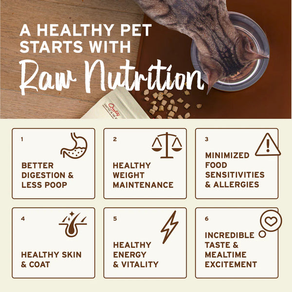 Primal Beef & Salmon Nuggets Frozen Cat Food