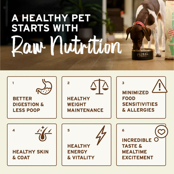 Primal Lamb Nuggets Frozen Dog Food