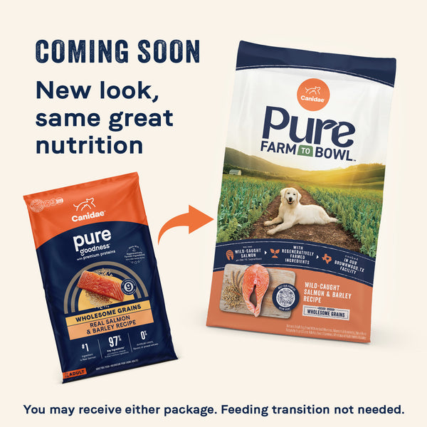 Canidae Pure Farm to Bowl Wild-Caught Salmon & Barley Recipe Dry Dog Food