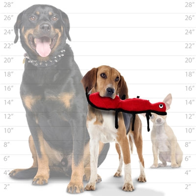 VIP Tuffy® Desert Ant Dog Toy