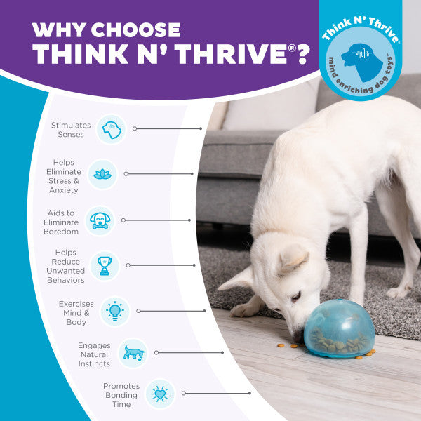 Outward Hound Orbee-Tuff Snoop Interactive Treat Dispensing Dog Toy