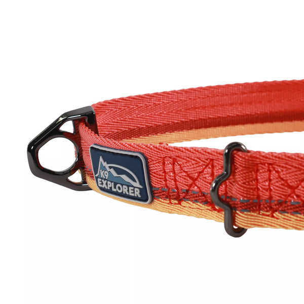 Coastal K9 Explorer Trek Adjustable Dog Collar, additional view 4