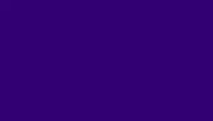 Coastal Comfort Wrap Adjustable Dog Harness, Purple