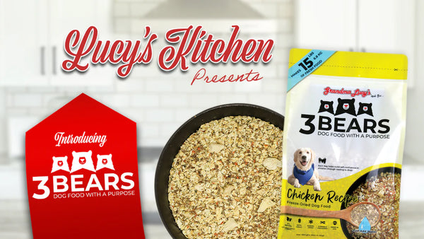 Grandma Lucy's 3 Bears Chicken Freeze Dried Dog Food