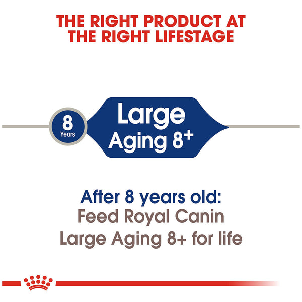 Royal Canin Large Aging 8+ Dry Dog Food, additional view 2